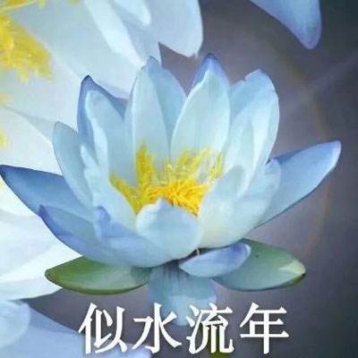 不朽传奇游戏下载
